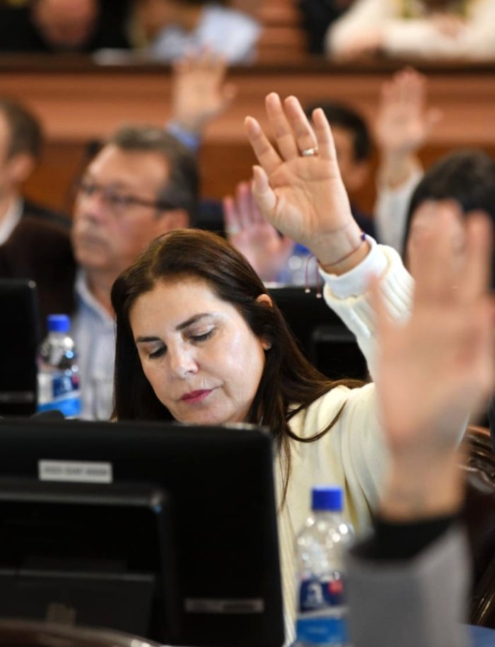 La diputada preside la Comisi&oacute;n de Asuntos Constitucionales.
