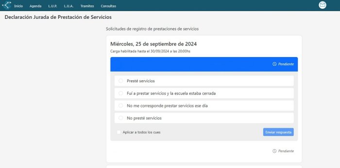 As&iacute; se visualiza en el sistema la declaraci&oacute;n jurada.