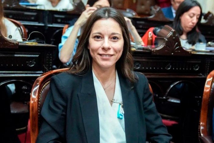 Ballejos asumi&oacute; en Diputados all&aacute; por septiembre de 2024. Reemplaz&oacute; a Pedro Galimberti.