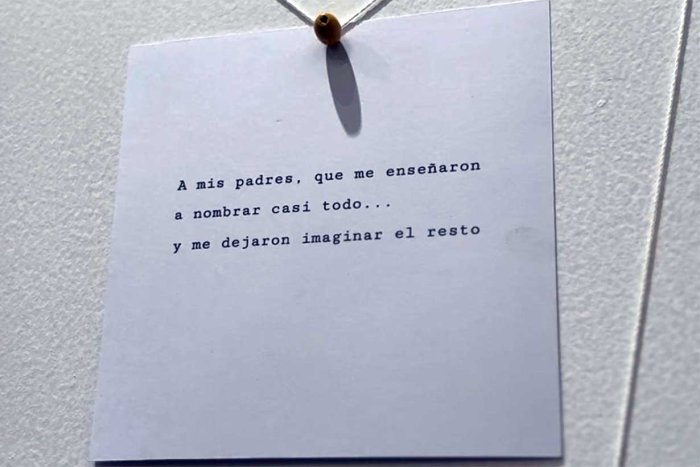 De la artista Ana Chabrill&oacute;n, en su obra "El nombre de las cosas"