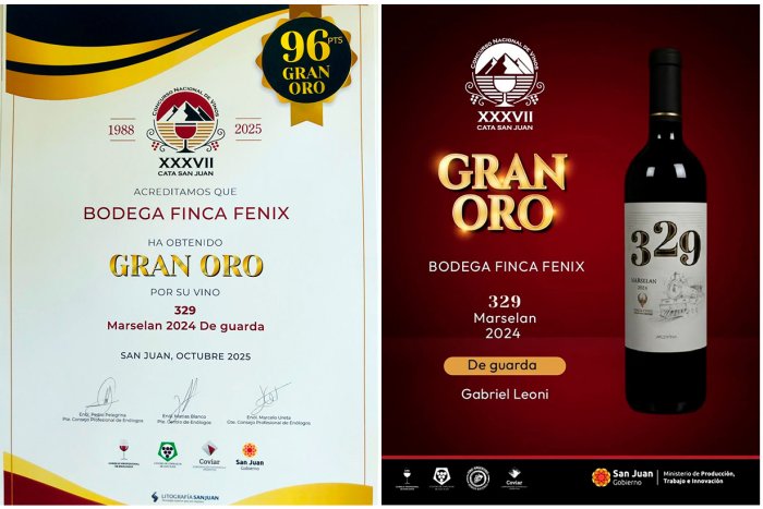 Gran Oro entreg&oacute; al vino entrerriano el Consejo y el Colegio de En&oacute;logos de San Juan.