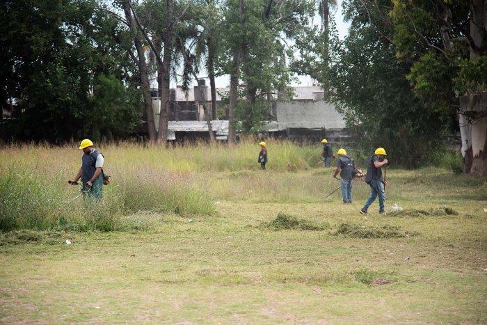 Internos de la c&aacute;rcel de Paran&aacute; hicieron trabajos de desmalezamiento en escuela T&eacute;cnica.