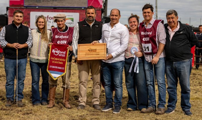 Los Castillo ganaron Grandes Campeones Braford y hoy faenan alrededor de 1500 animales por semana; avanzan con negocios en Colombia, Estados Unidos, Israel y Europa.