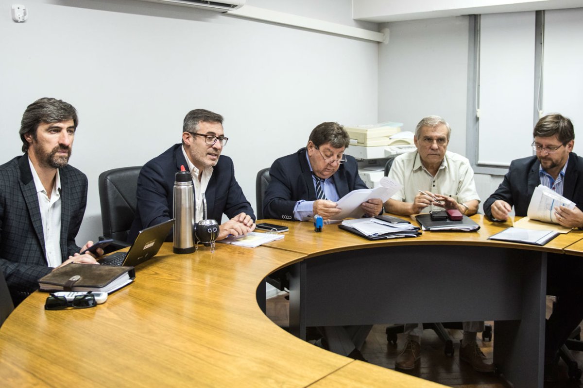 Giano es autor del proyecto legislativo.