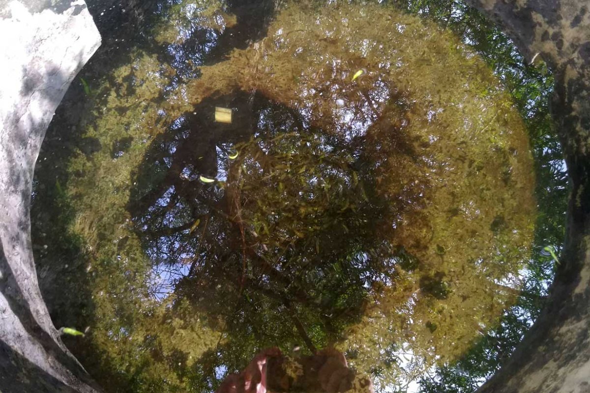 De esta agua beben en el Martillo Viejo / Foto EER