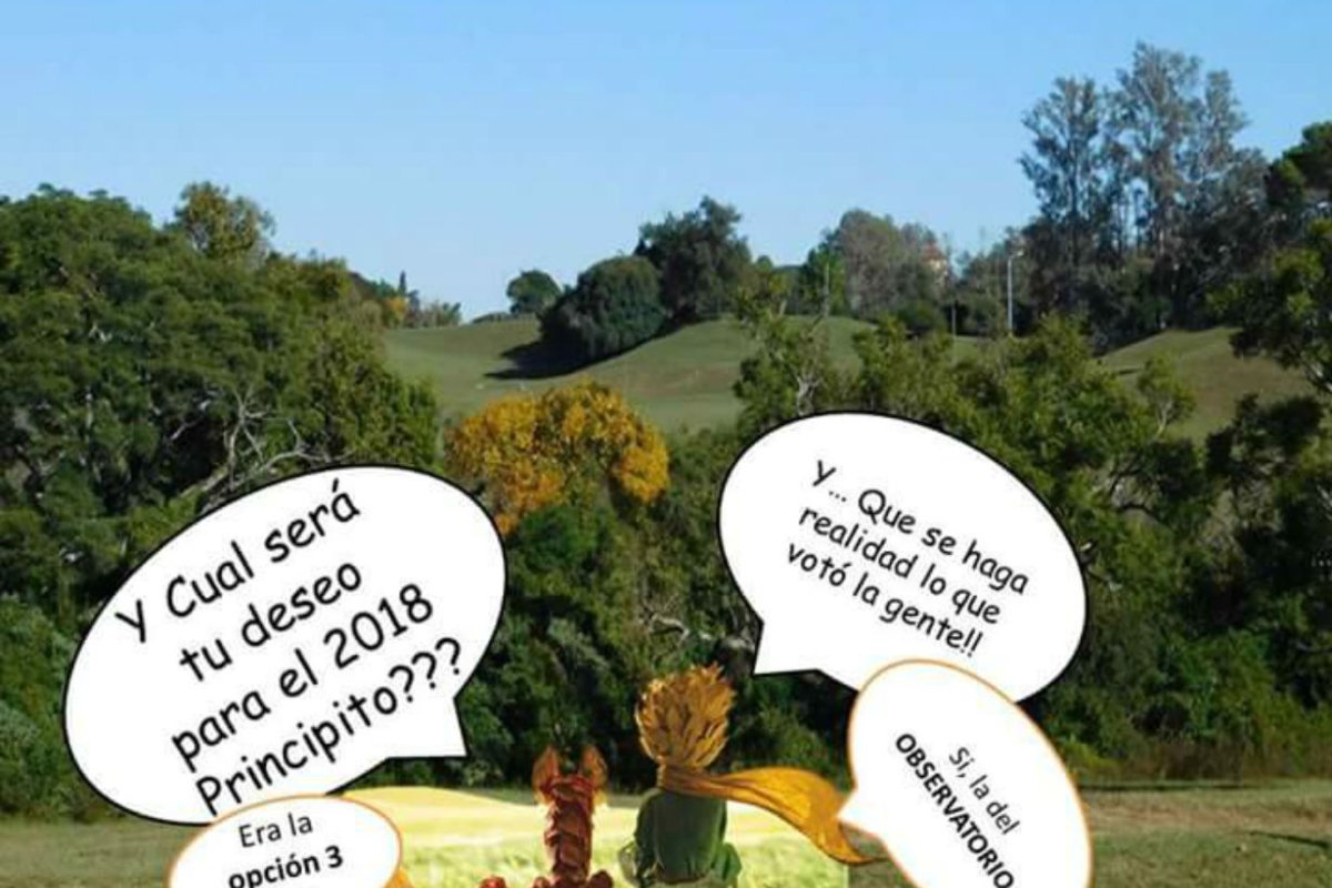 ONG dijo que la licitaci&oacute;n es inconsulta.