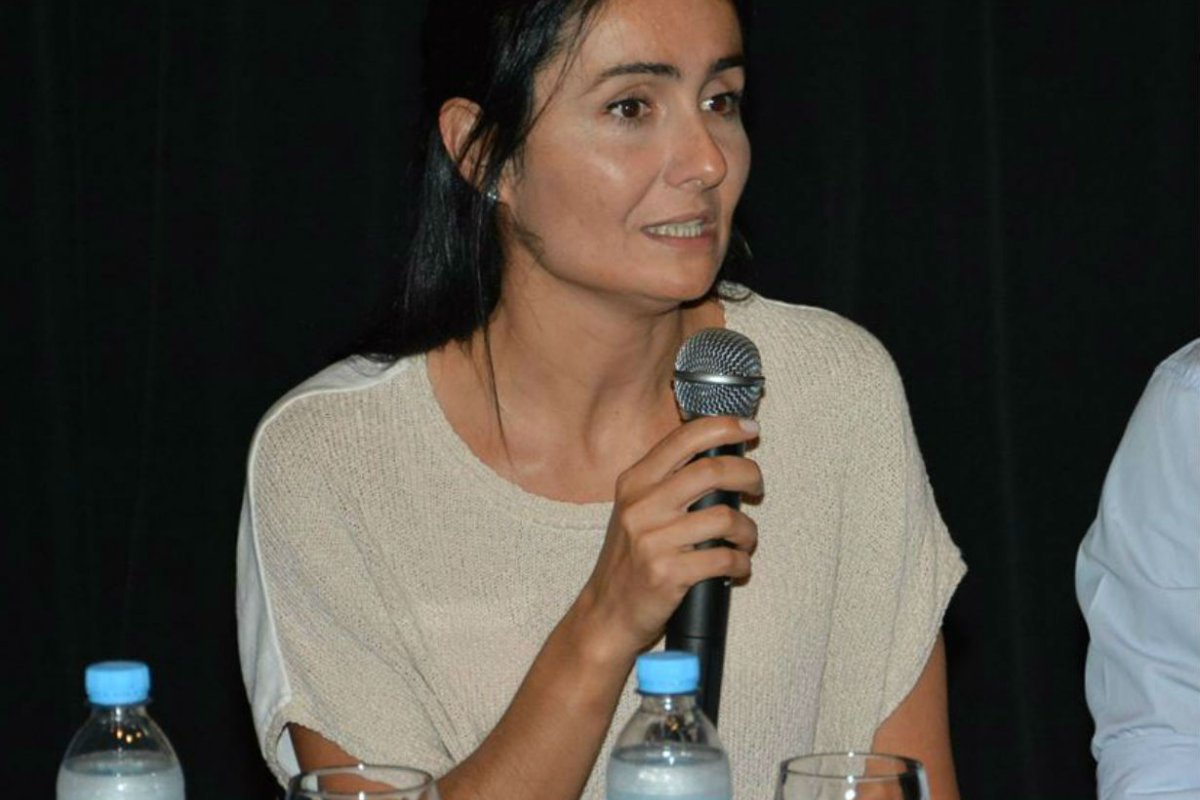 Viola preside el bloque de Cambiemos en Diputados.