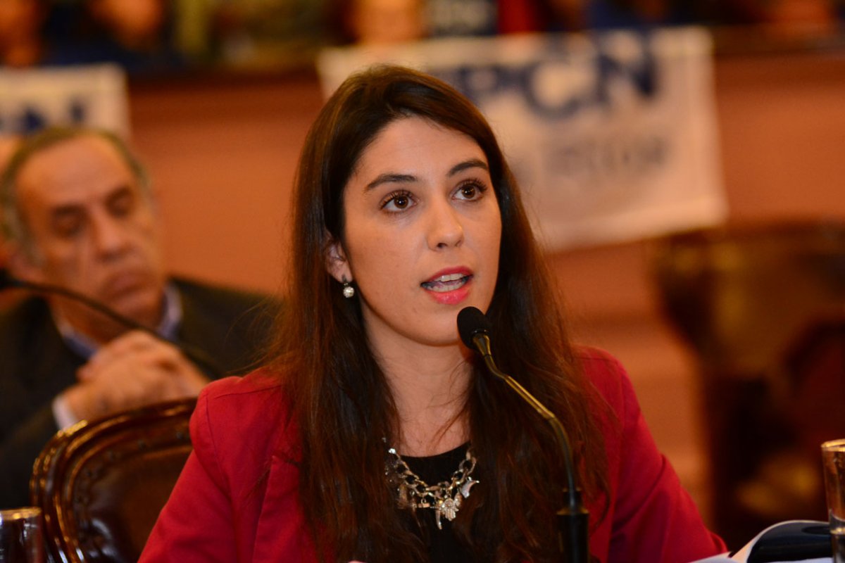 Acosta quiere reforma la carta provincial