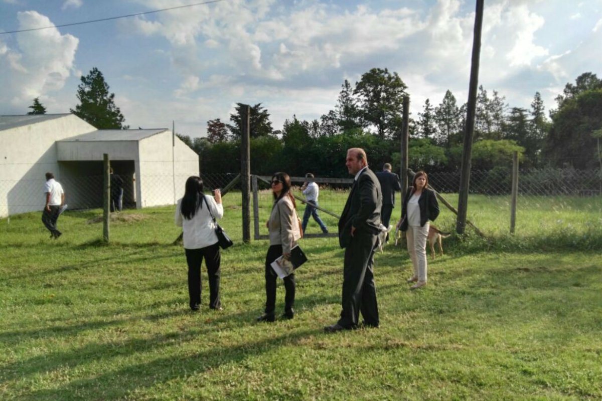 Recorrida en a terrenos de Sampellegrini y Guevara