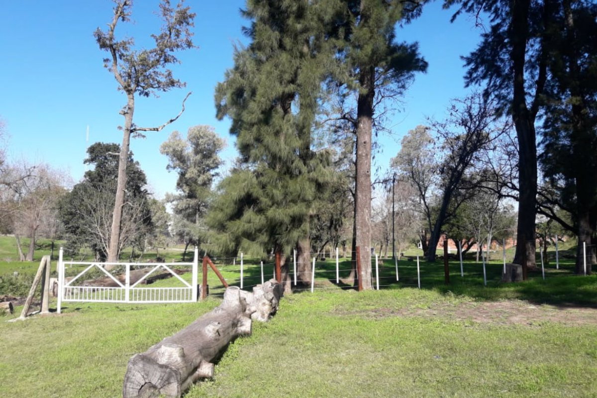 El predio, ubicado a espaldas de escuela "Borges".