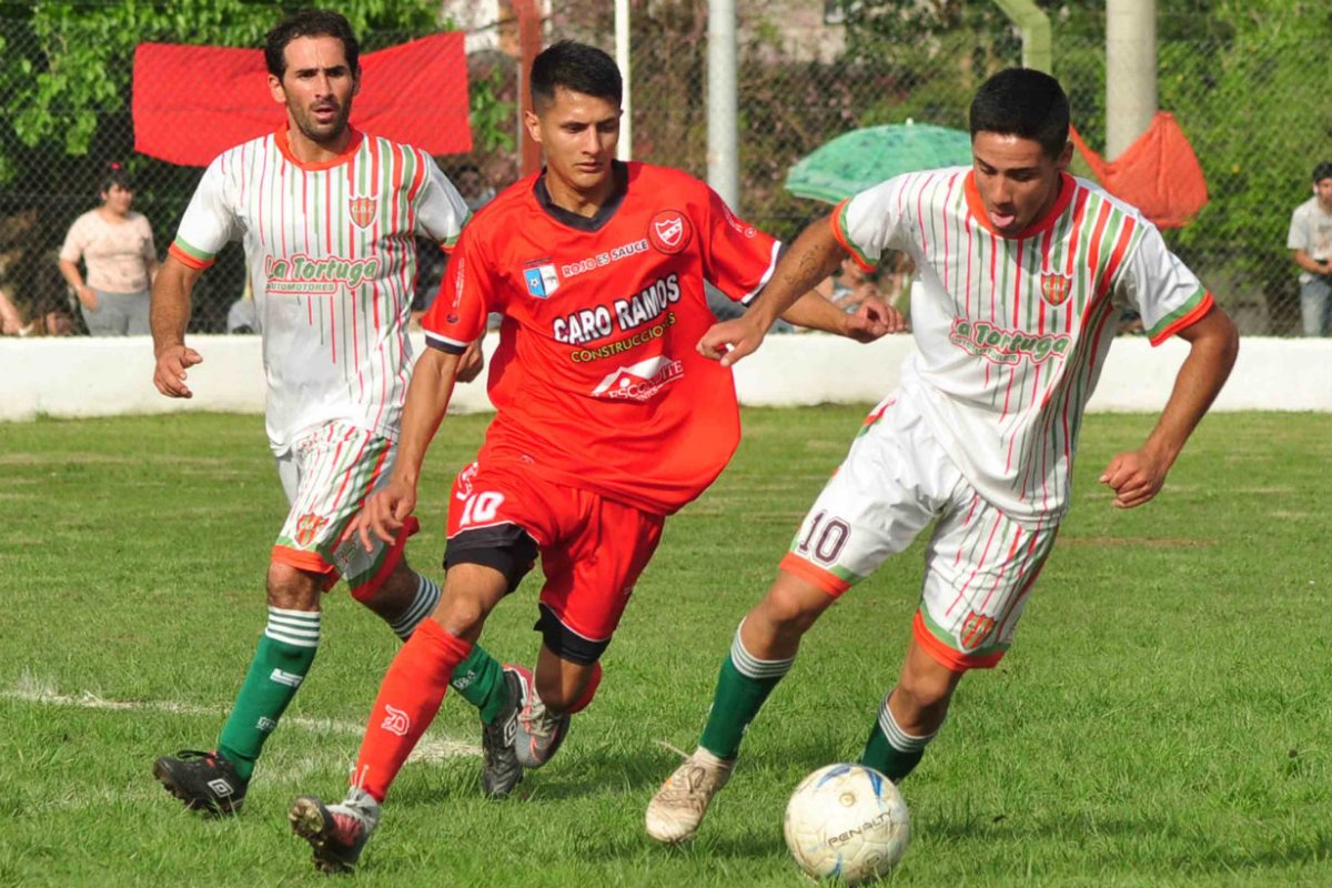 Sauce gan&oacute; en el sur (Foto: Rub&eacute;n Com&aacute;n/EER).