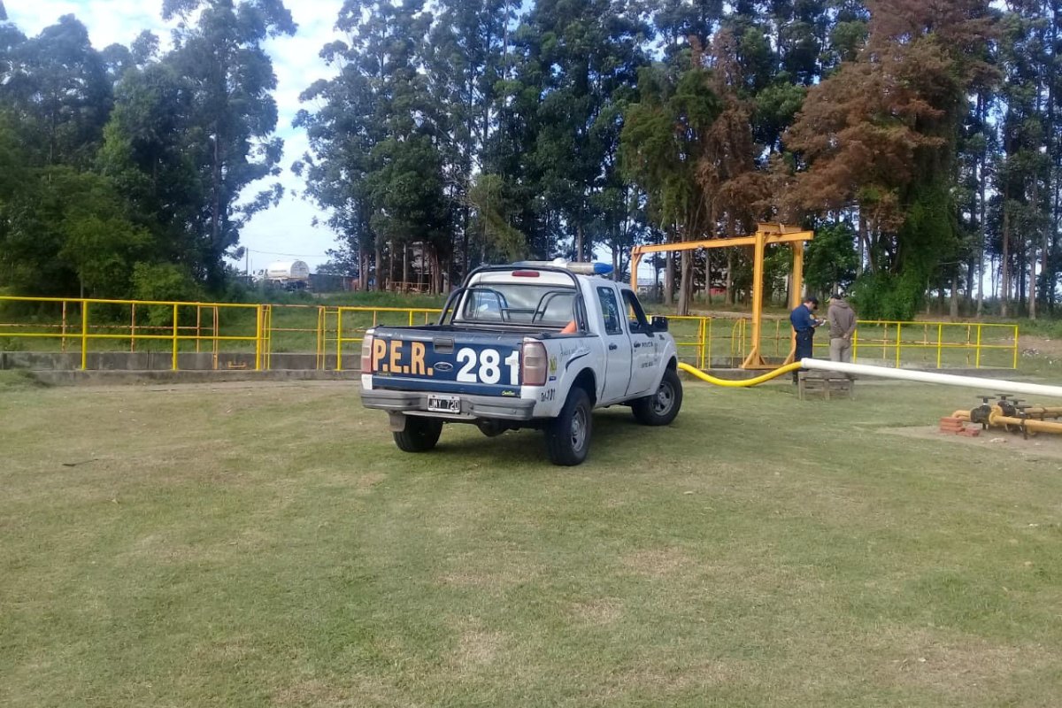 El feto, encontrado en la Planta de Reciclado.