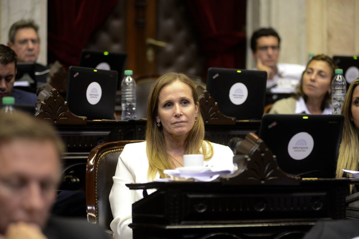 Mayda Cresto, diputada nacional.