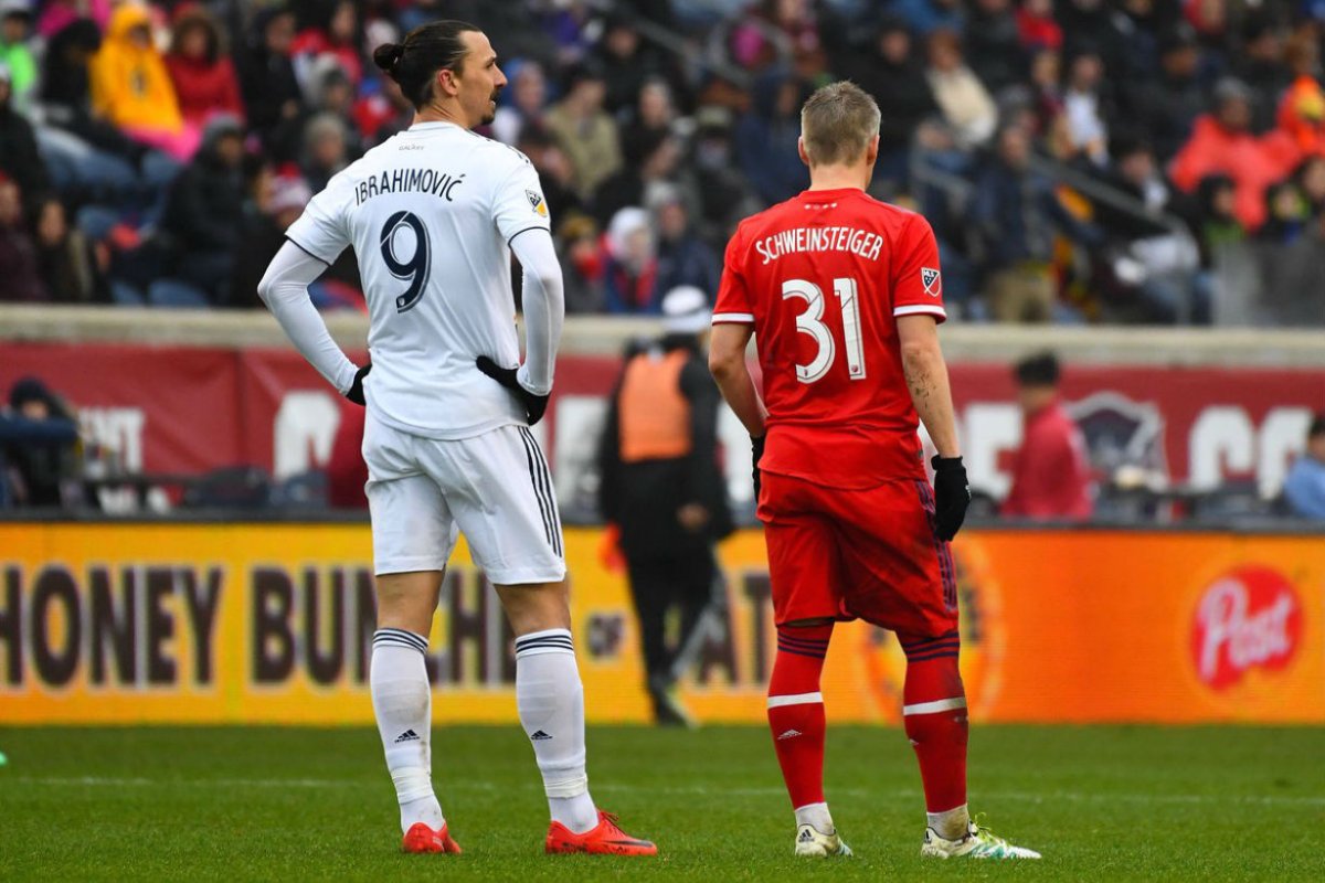 Schweinsteiger ser&aacute; compa&ntilde;ero de Ojeda.