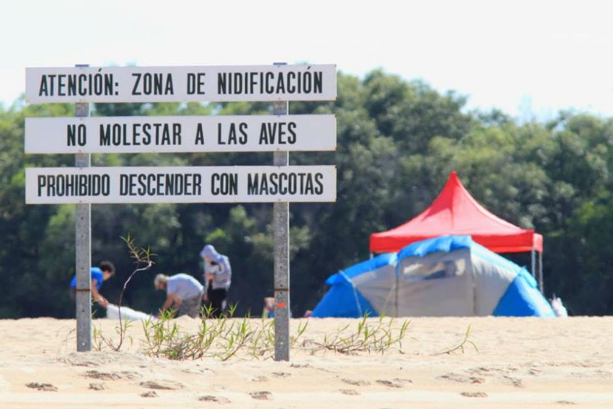 Foto: Facebook de Guillermo Treboux.