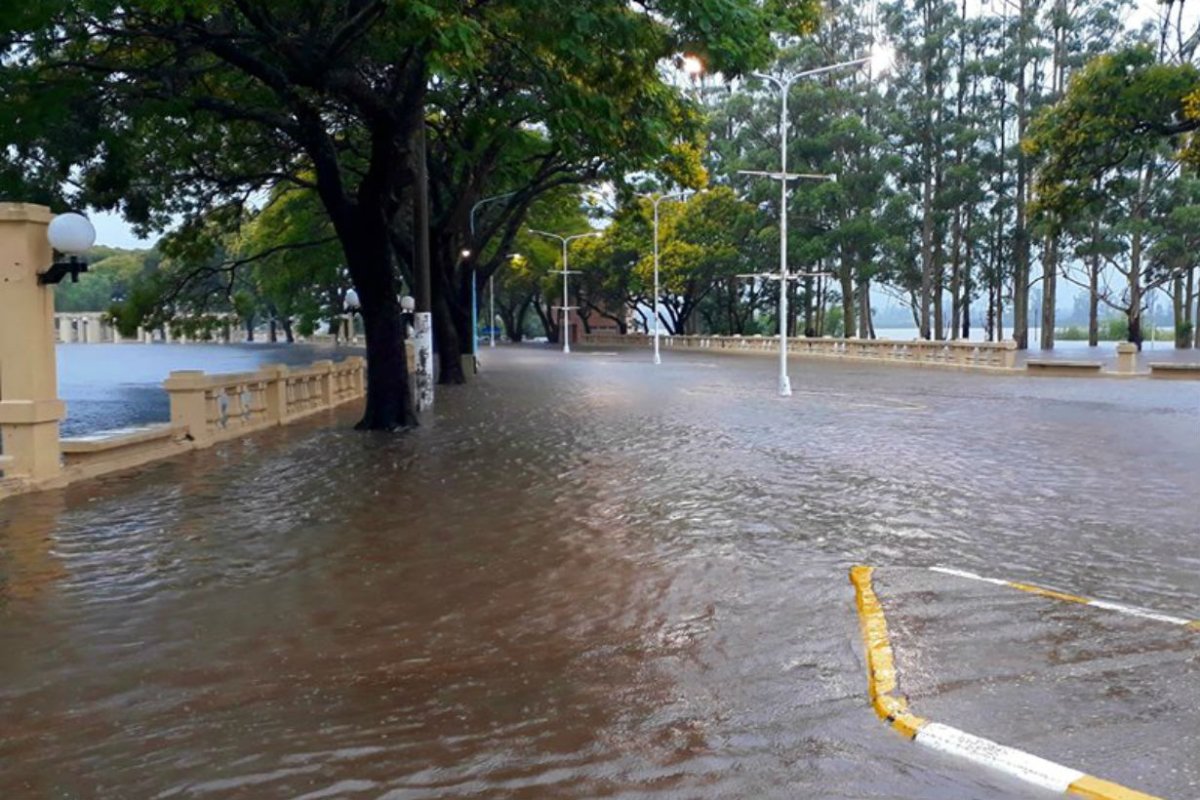 Expectativa por la bajante en Concordia.