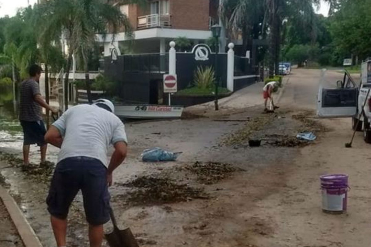 Tareas de limpieza, en costanera de Col&oacute;n.