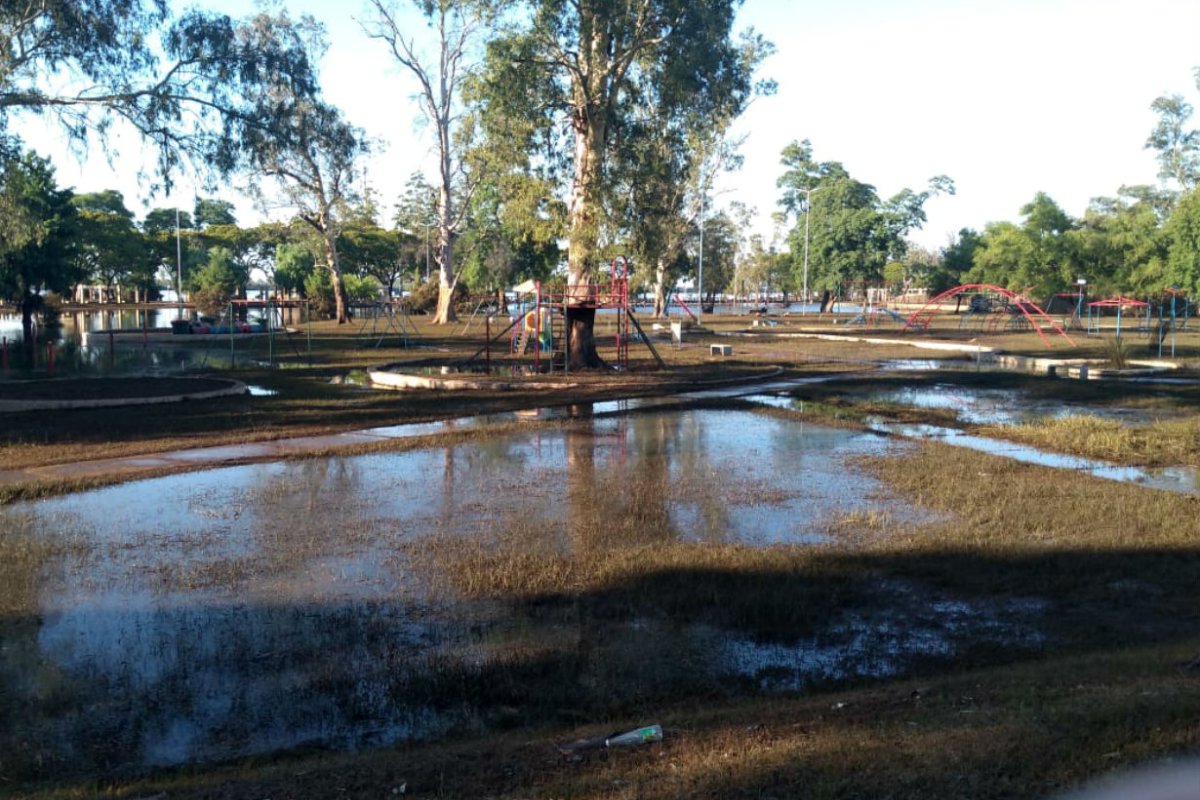 En Parque Mitre de Concordia se nota la bajante.