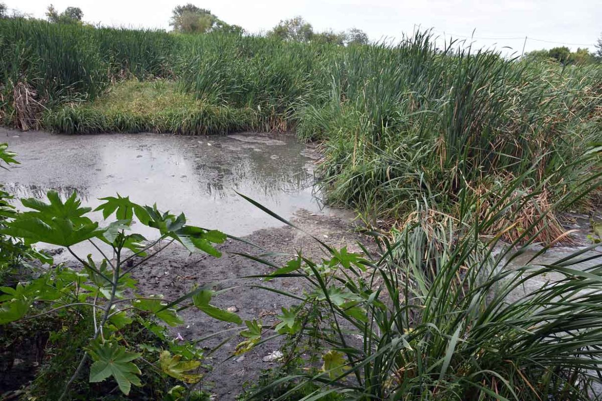 Cr&eacute;dito Rub&eacute;n Com&aacute;n - El Entre R&iacute;os