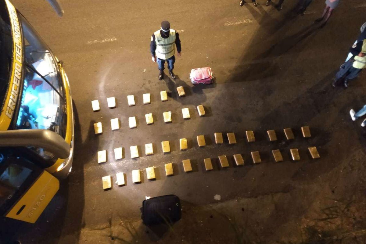 El cargamento que detect&oacute; la Polic&iacute;a.