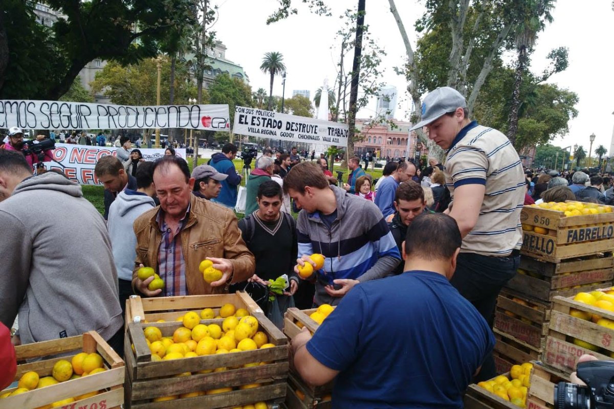 El martes regalaron c&iacute;tricos en Plaza de Mayo.