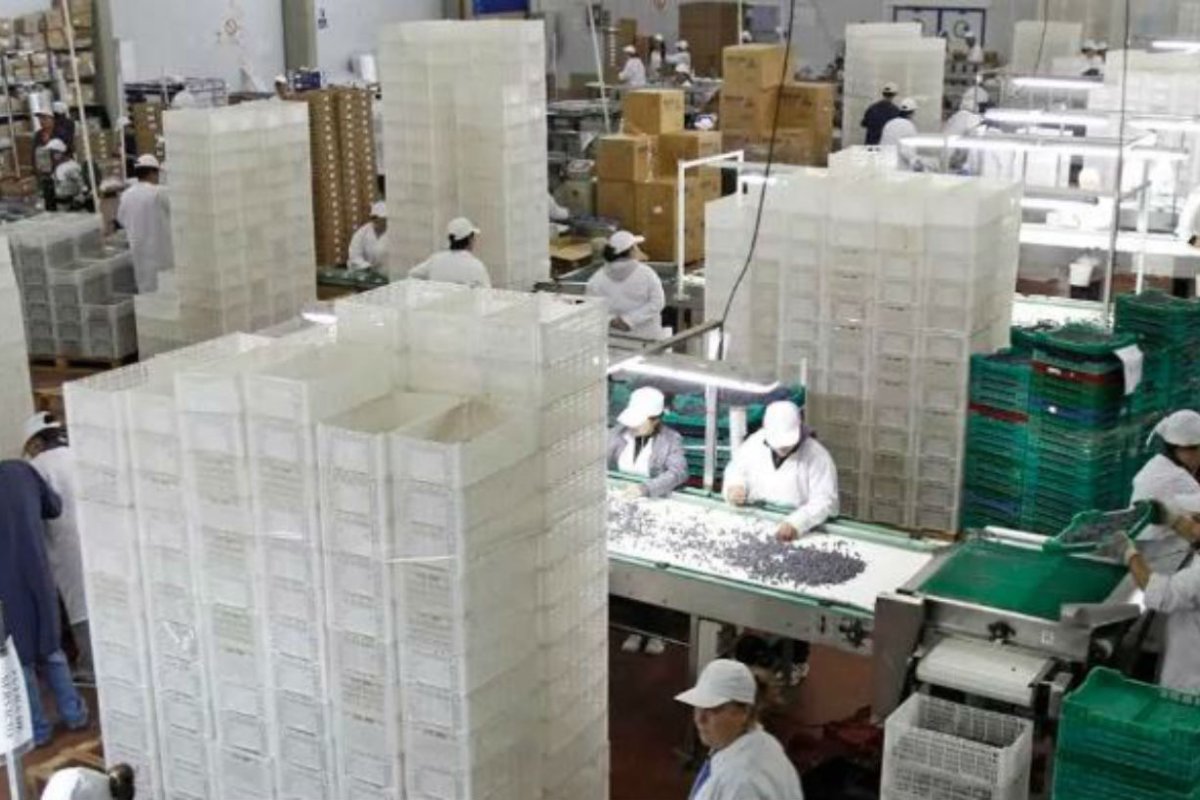 En Concordia est&aacute; la planta de la empresa.