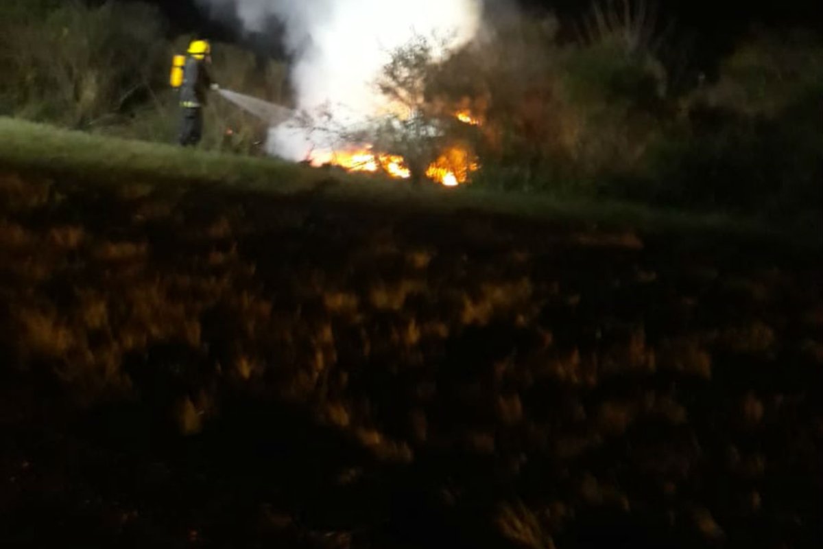 As&iacute; ardi&oacute; en llamas el Peugeot 207.