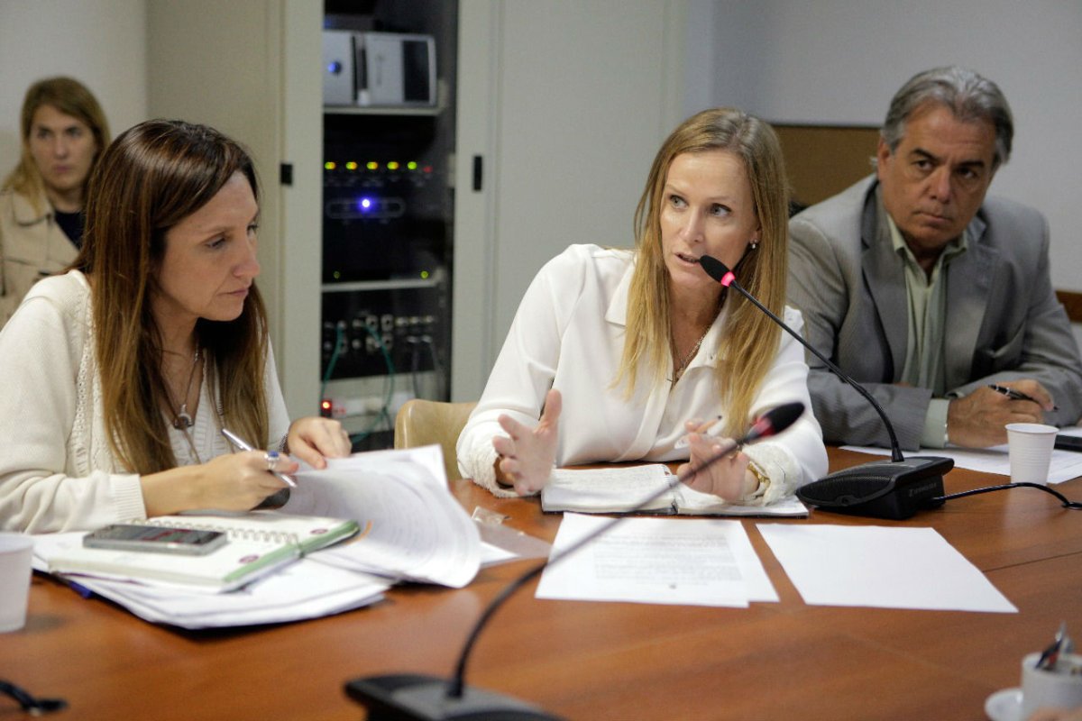Mayda Cresto pide declarar la emergencia de RN14.