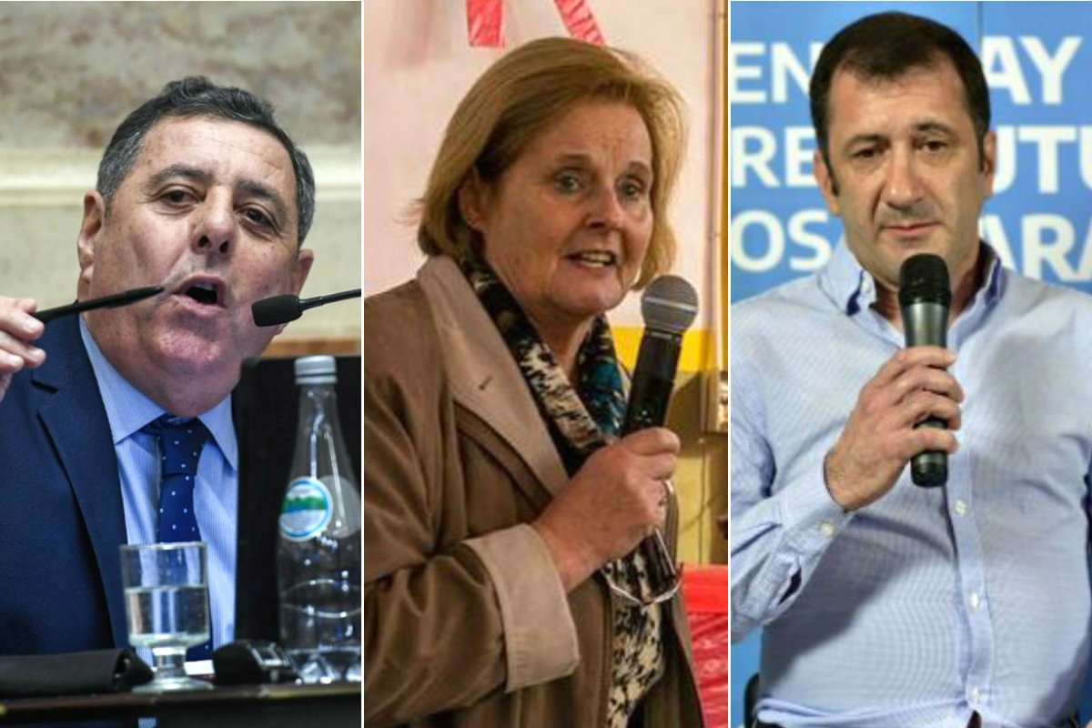 Los 3 al Senado: de Angeli, Olalla y Kueider.