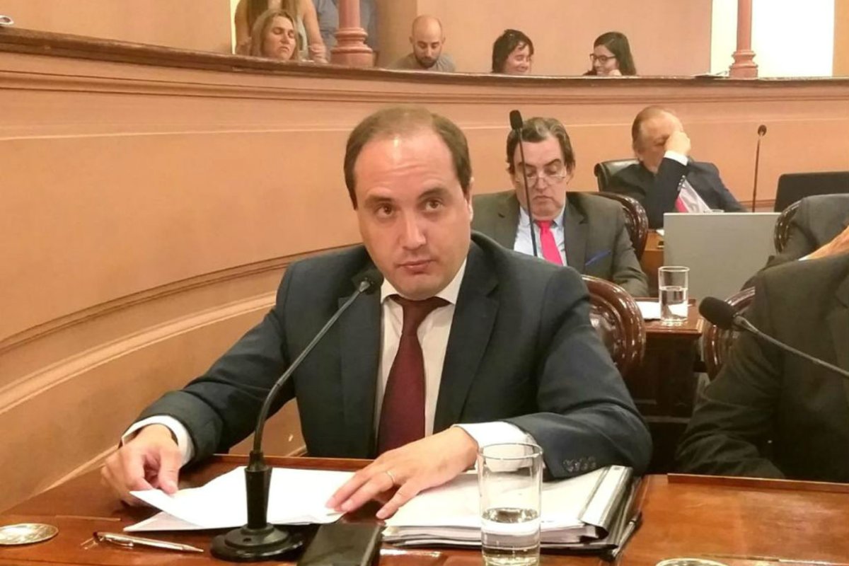 La Madrid carg&oacute; contra el proyecto.