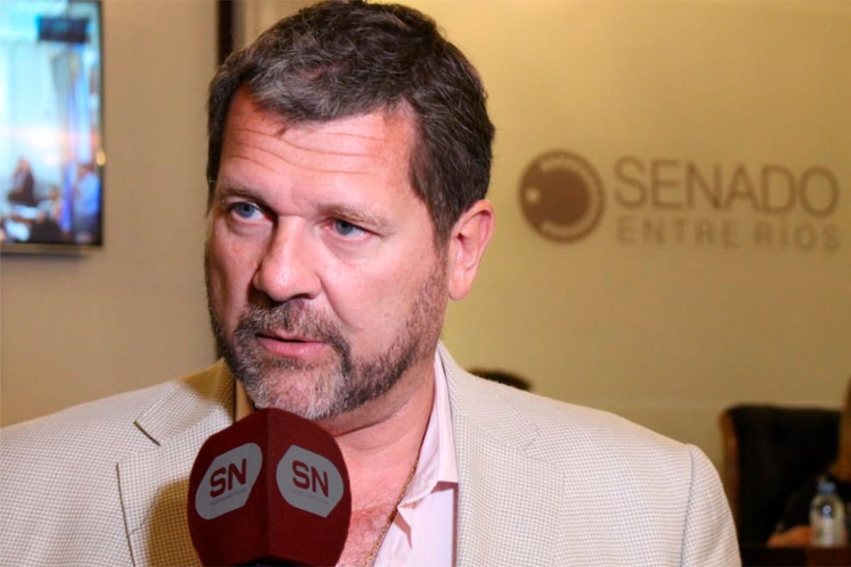 Armando Gay, Senador por Concordia