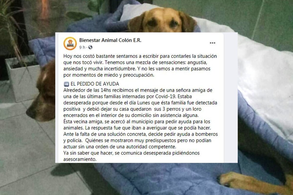 Eso postearon en el muro de Bienestar Animal Col&oacute;n