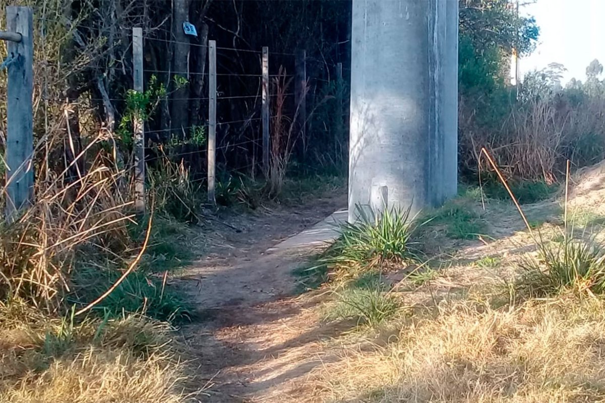 Un pasadizo, entre el alambrado y una columna