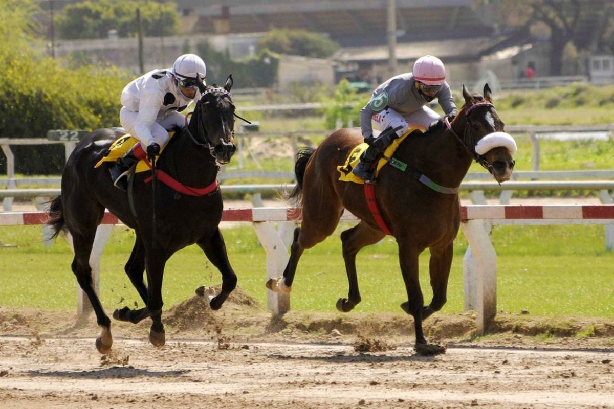 Bonasola, con el n&uacute;mero 5, fue el ganador.