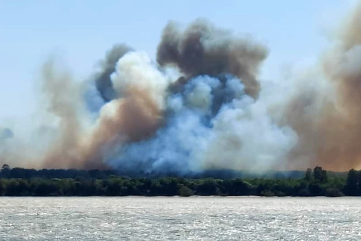 Foto: Franco De Los Santos.