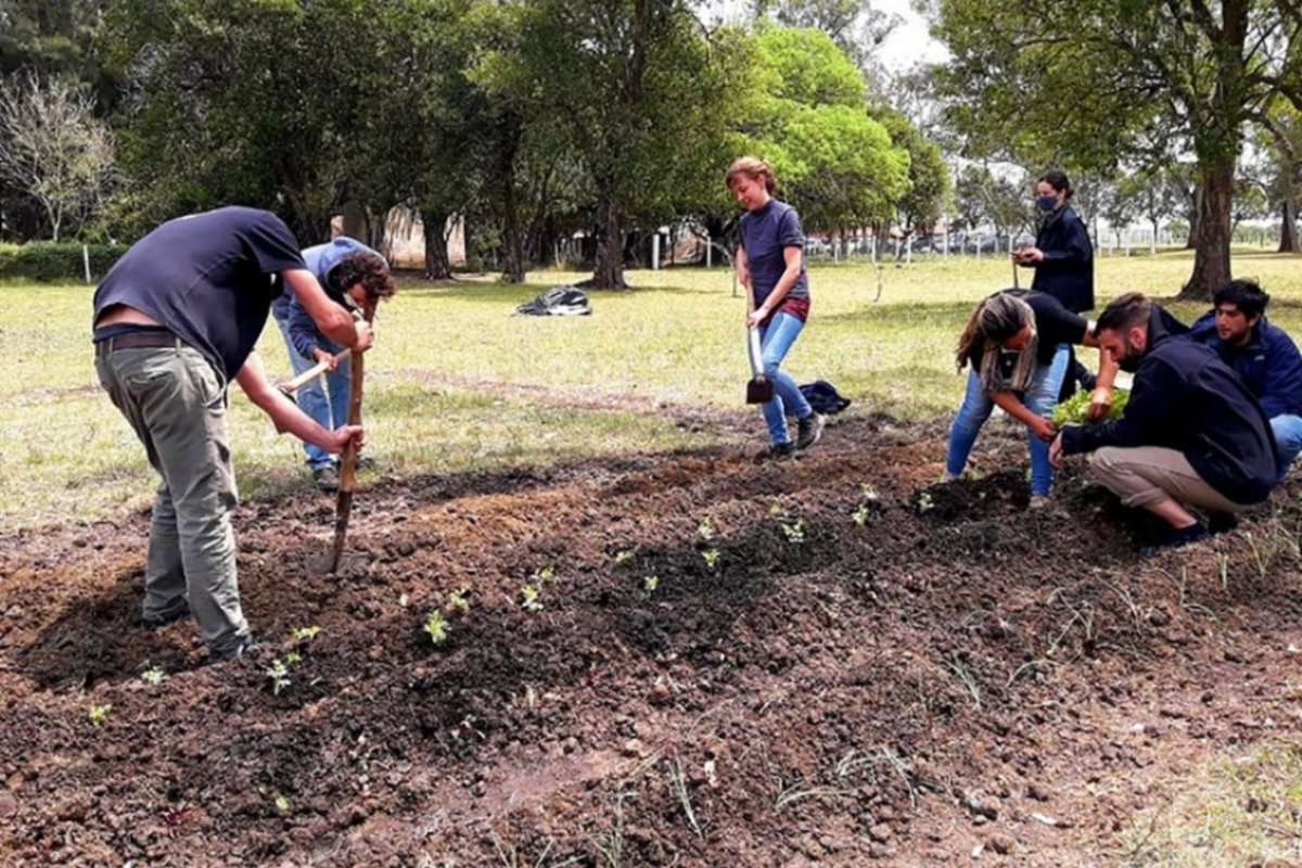 "Proyecto Artigas" es el que encabeza Grabois.