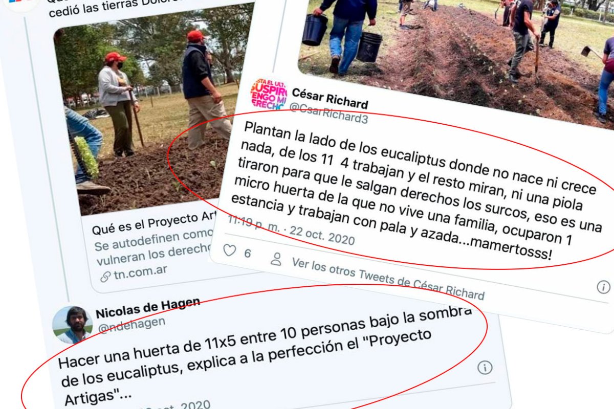 En Facebook, arreciaron las cr&iacute;ticas
