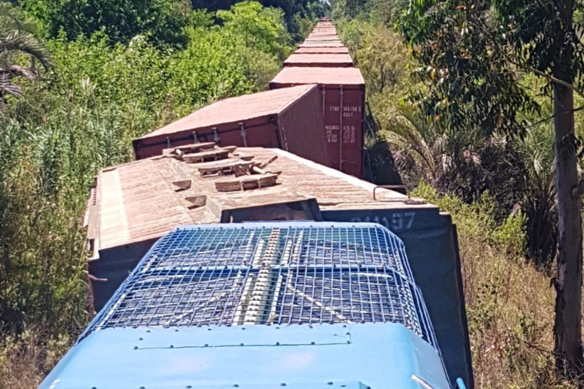 El incidente ocurri&oacute; este domingo.