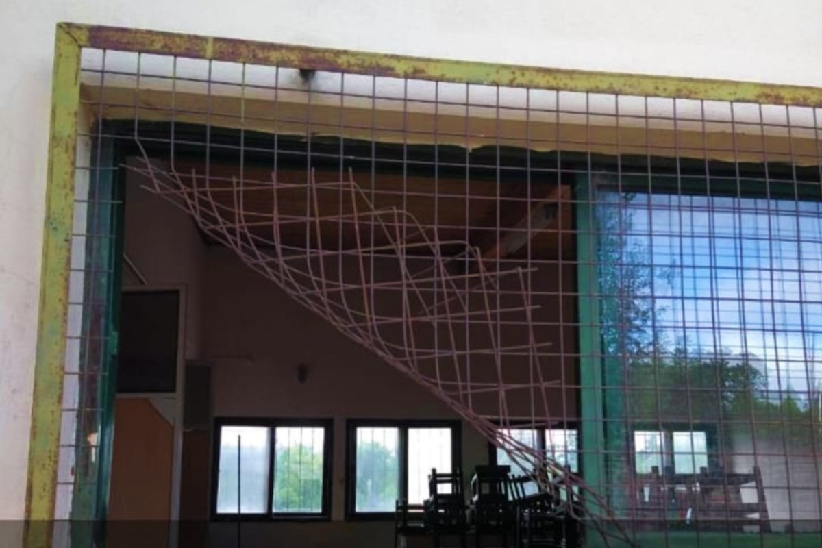 All&iacute; entraron, en una ventana del jard&iacute;n.