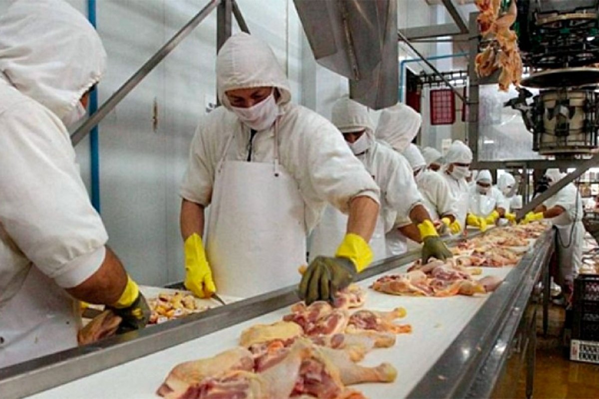 La avicultura, econom&iacute;a regional