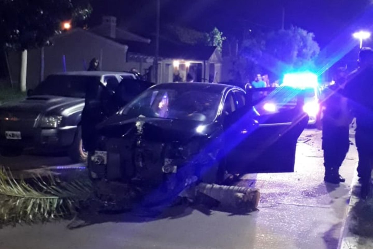 As&iacute; qued&oacute; el Peugeot, con la palmera debajo.