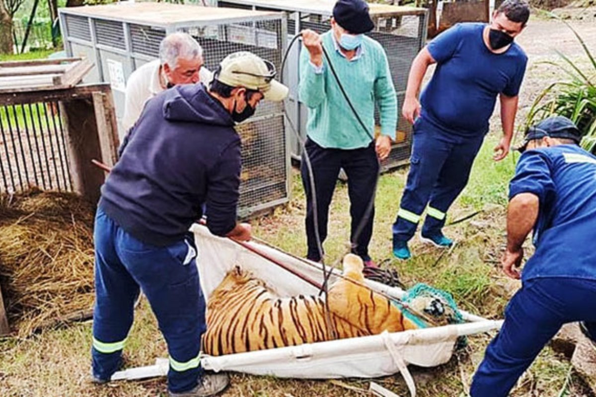 Los animales del Zoo ir&aacute;n a reservas naturales.