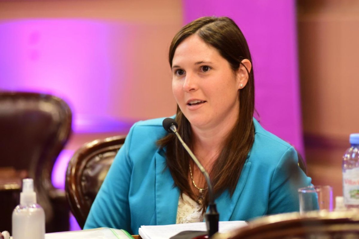 La diputada provincial, en la interna opositora.