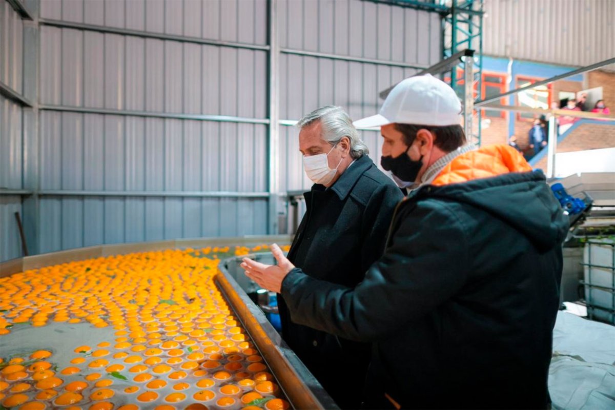 El presidente en el empaque de citrus