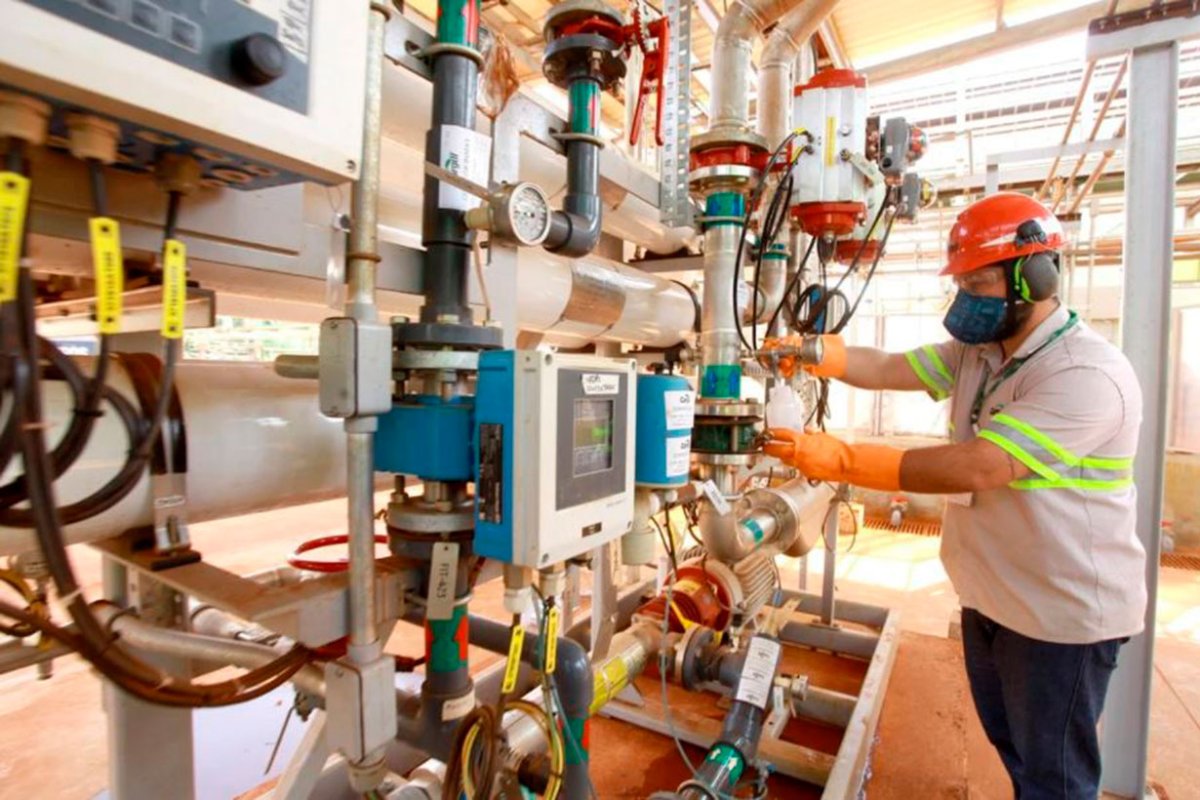 La f&aacute;brica de Brasil que recibe las c&aacute;scaras de ER