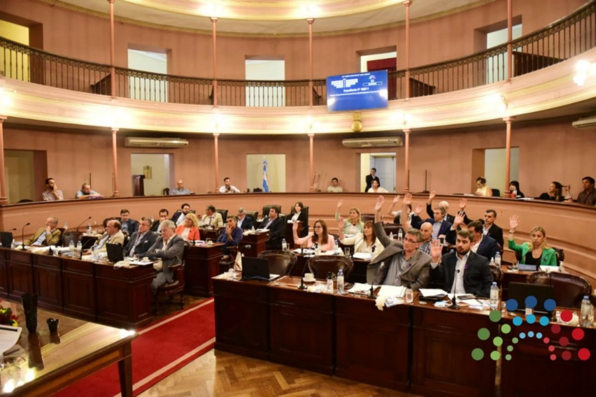 En contra y a favor, al votar en Diputados.
