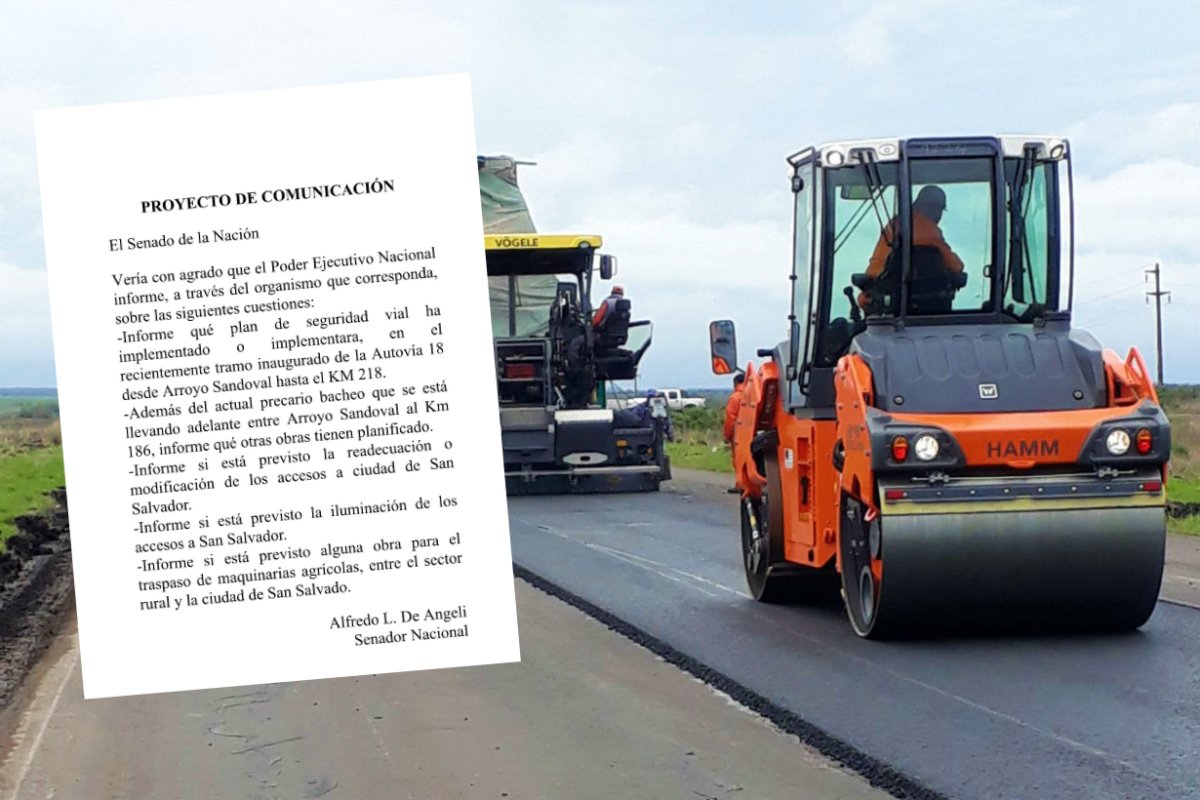 La informaci&oacute;n solicitada por de Angeli.