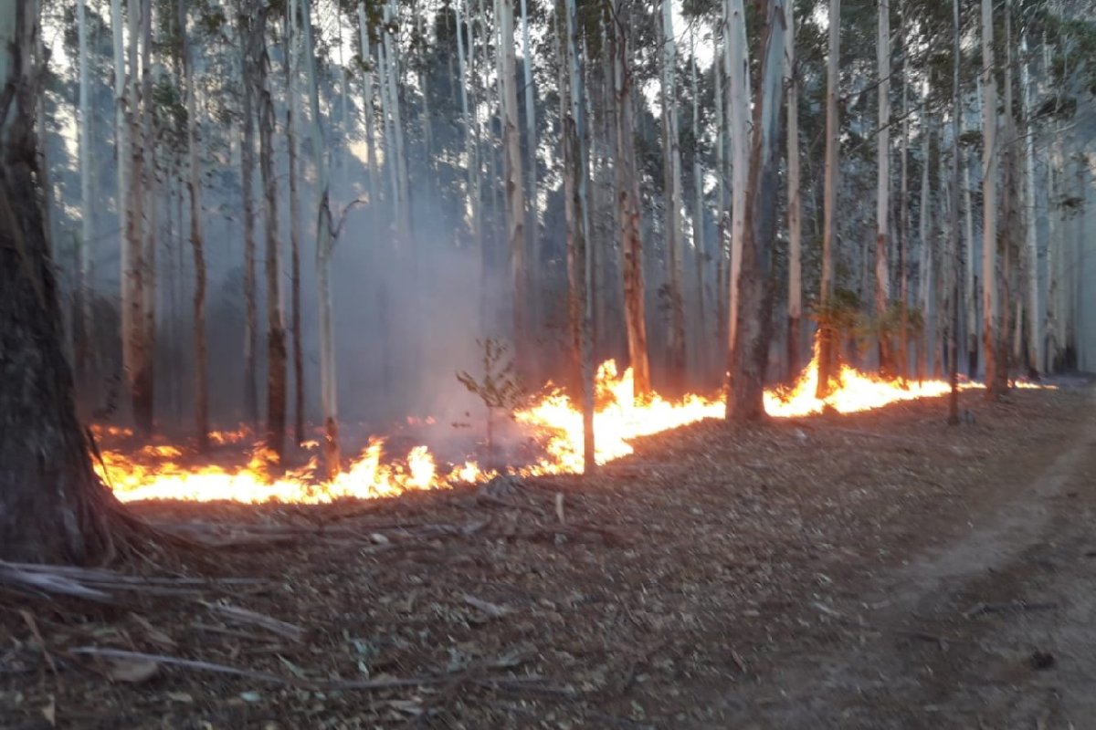 29 de diciembre: incendio en Calabacilla.
