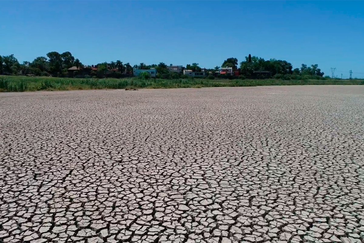 Captura de imagen Video de El Litoral