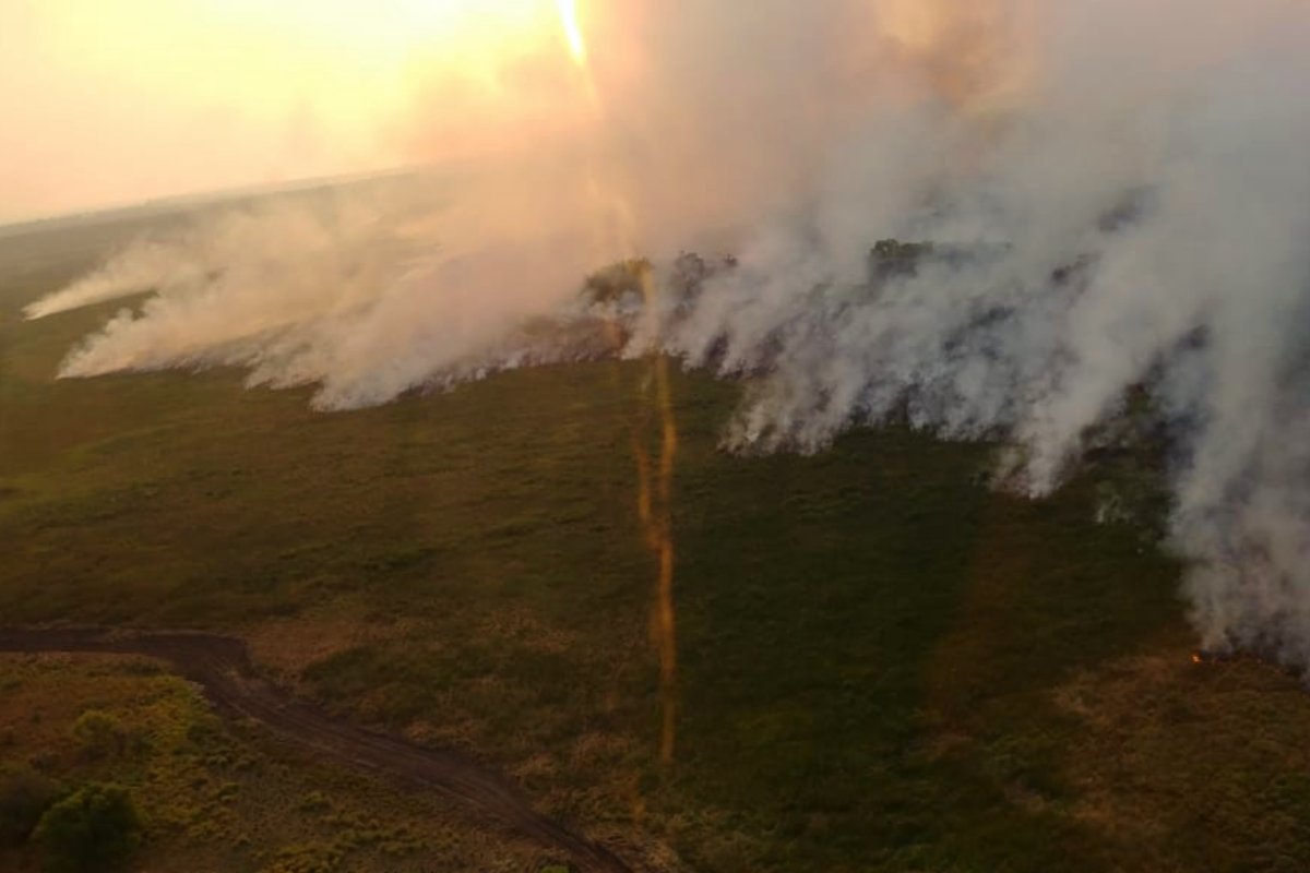 Fotograf&iacute;a del Ministerio de Ambiente.